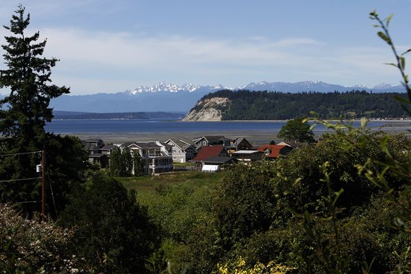 View of the Olympic Mountains and Useless Bay from the house.