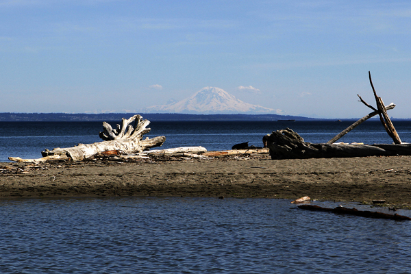 Mt. Rainier from Double Bluff beach on Whidbey Island.